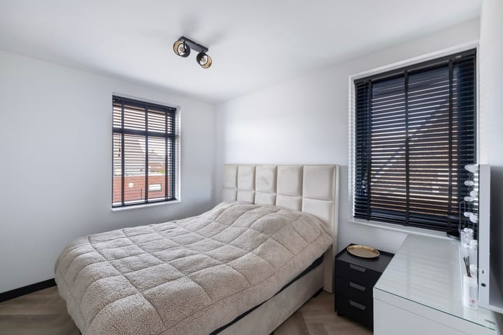 Photo 6 of Fuchsia 20