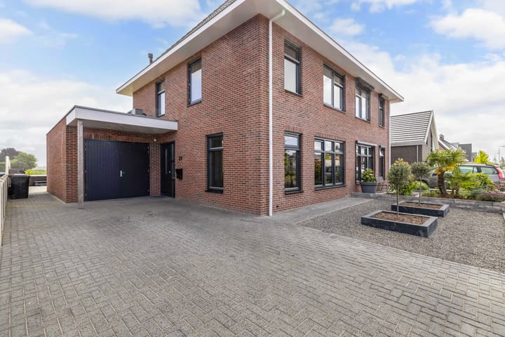 Photo 10 of Fuchsia 20