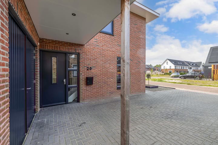 Photo 11 of Fuchsia 20