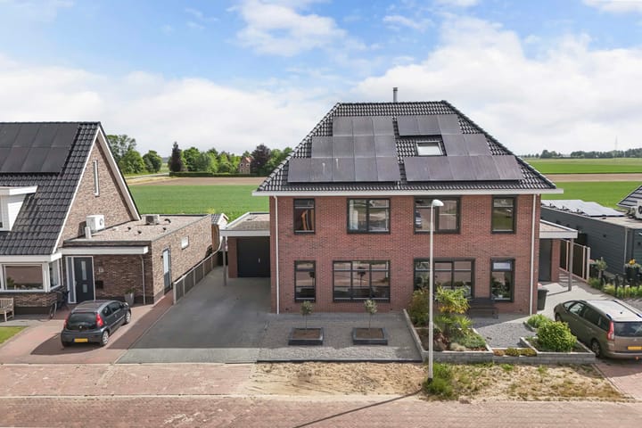 Photo 12 of Fuchsia 20