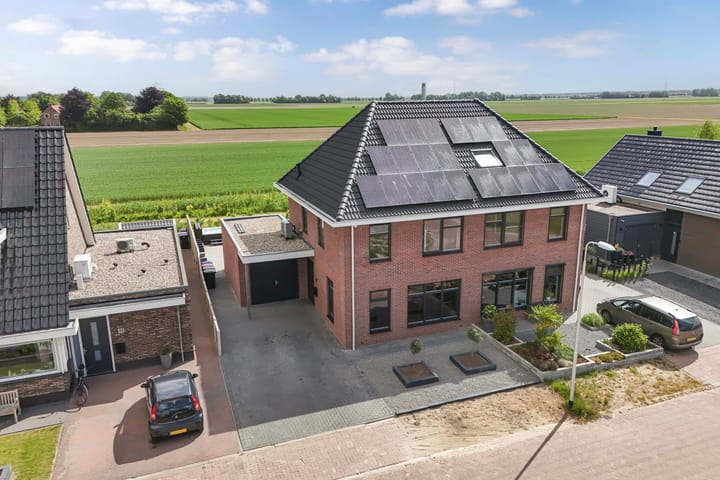 Photo 13 of Fuchsia 20