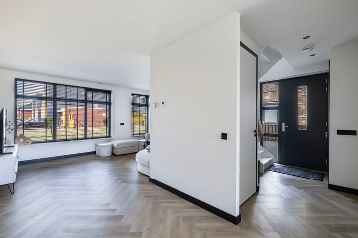 Photo 17 of Fuchsia 20