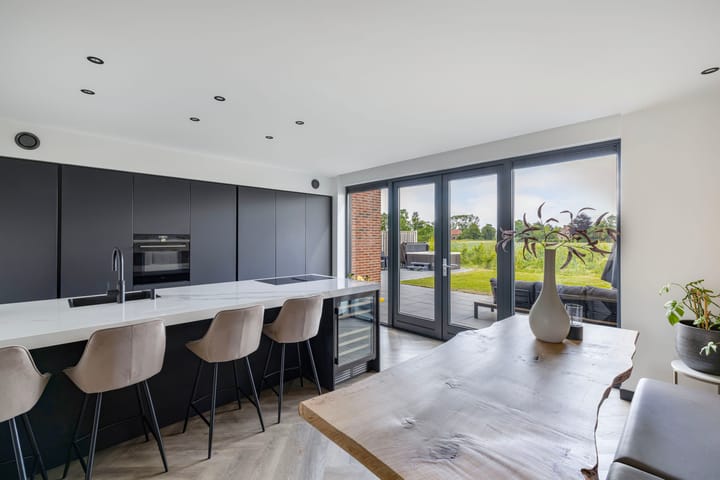 Photo 22 of Fuchsia 20