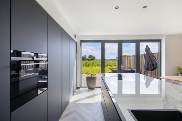 Photo 24 of Fuchsia 20