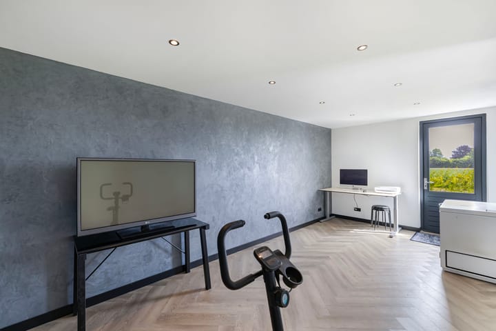 Photo 29 of Fuchsia 20