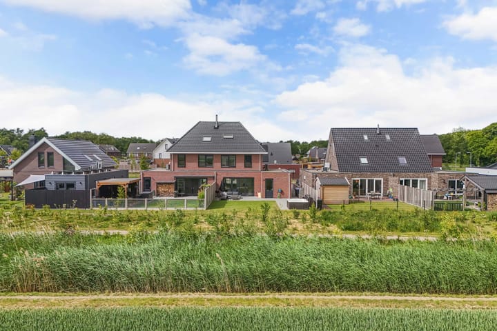 Photo 41 of Fuchsia 20