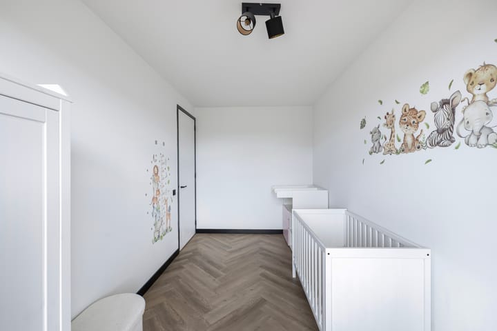 Photo 48 of Fuchsia 20