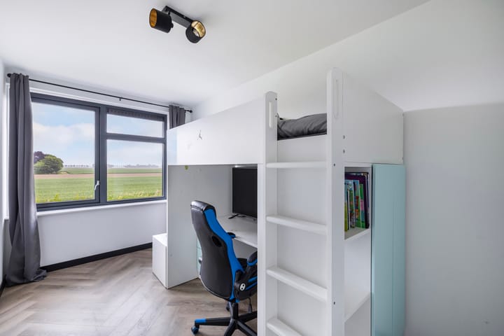 Photo 49 of Fuchsia 20