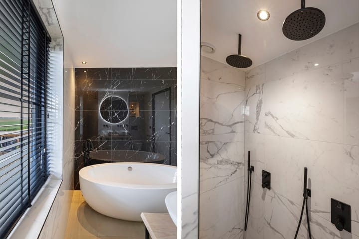 Photo 55 of Fuchsia 20