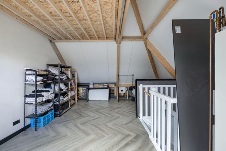 Photo 57 of Fuchsia 20