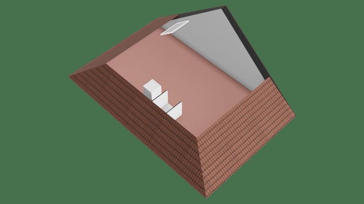 Photo 64 of Fuchsia 20