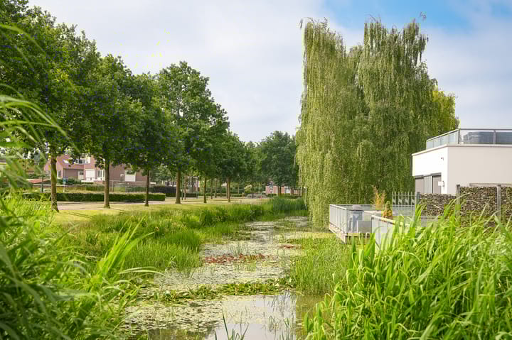 Foto 25 van Visven 514