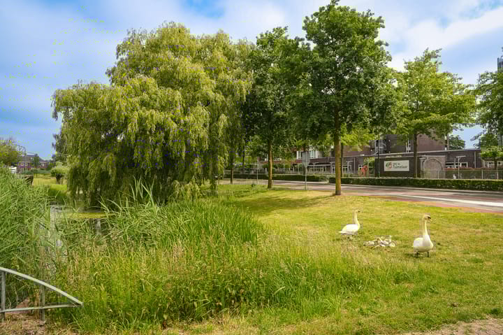 Foto 26 van Visven 514