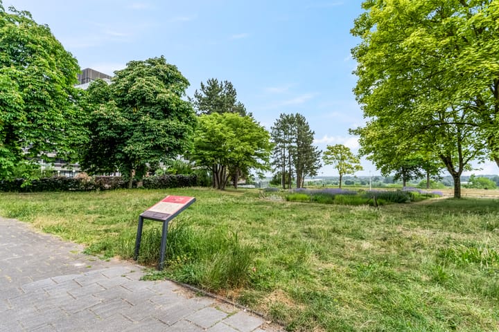 Foto 26 van Jan van Goyenstraat 40