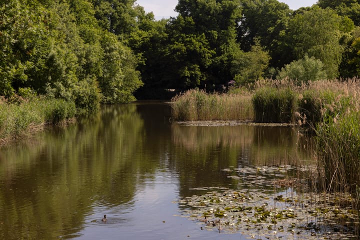 Foto 22 van Middenweg 99-3
