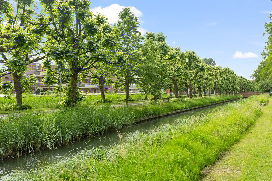 Foto 11 van Vrouw Baertestraat 9