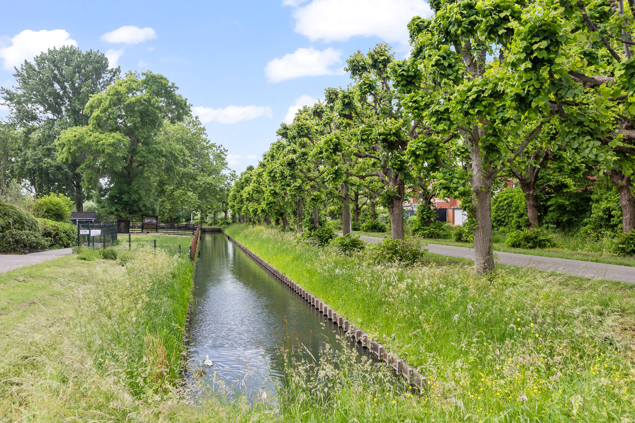 Foto 57 van Vrouw Baertestraat 9