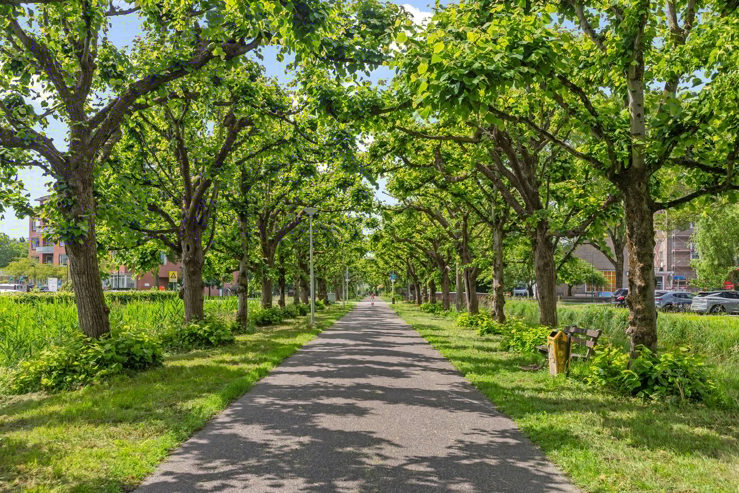 Foto 59 van Vrouw Baertestraat 9