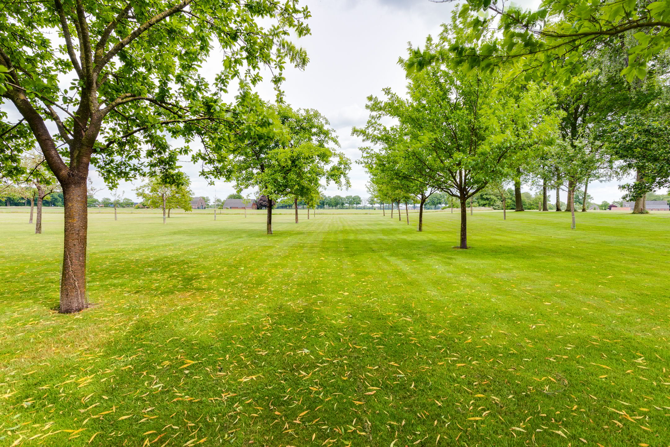 Foto 54 van Masselinklaan 1