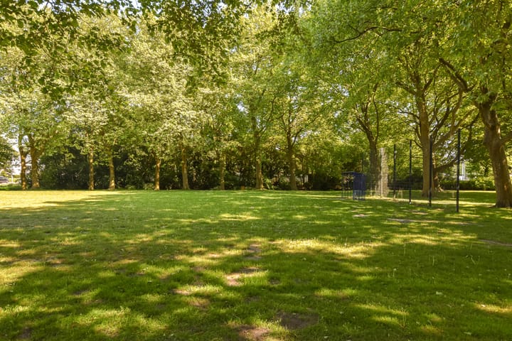 Foto 31 van Olmenlaan 50