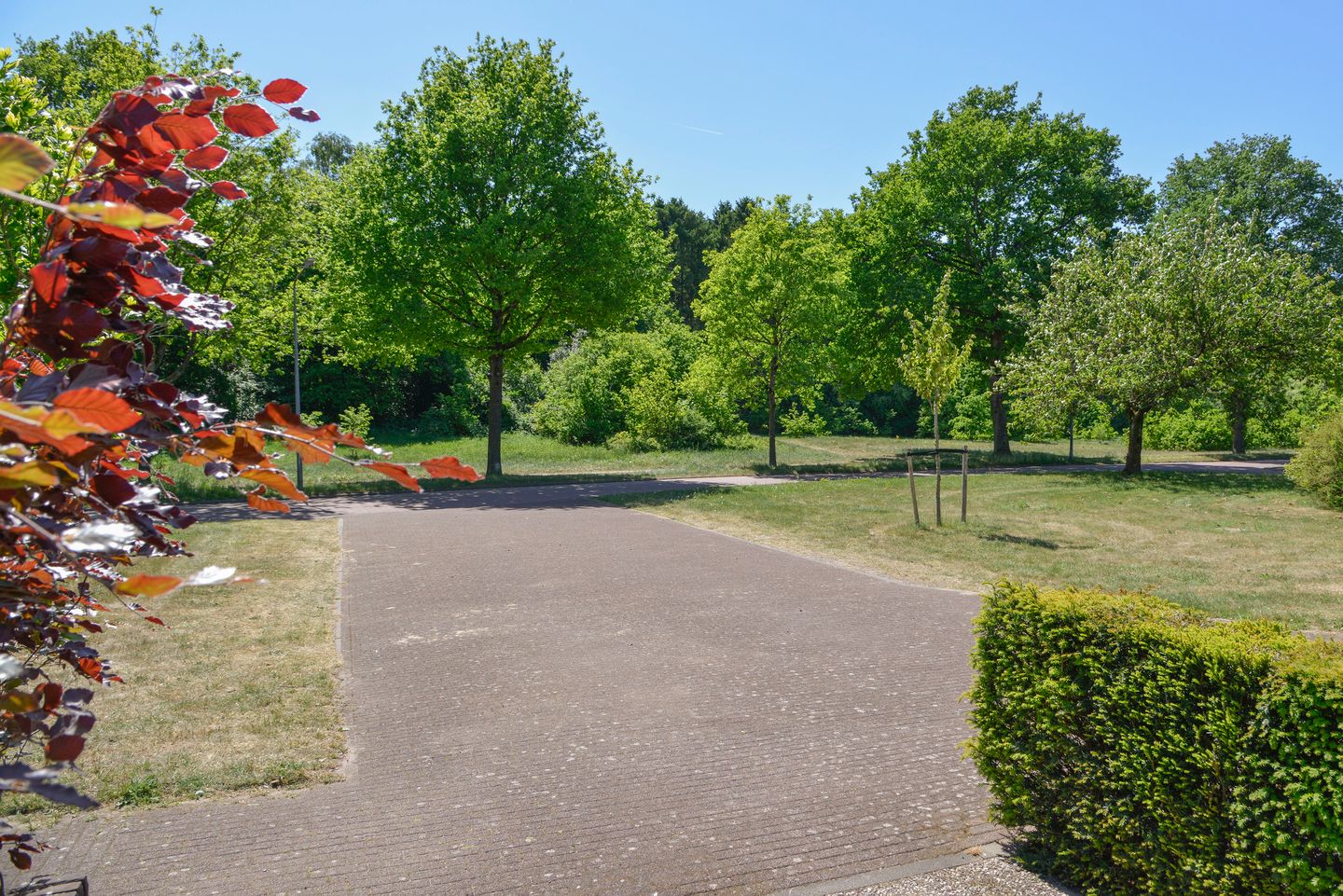 Foto 35 van Dr. Kuyperlaan 42