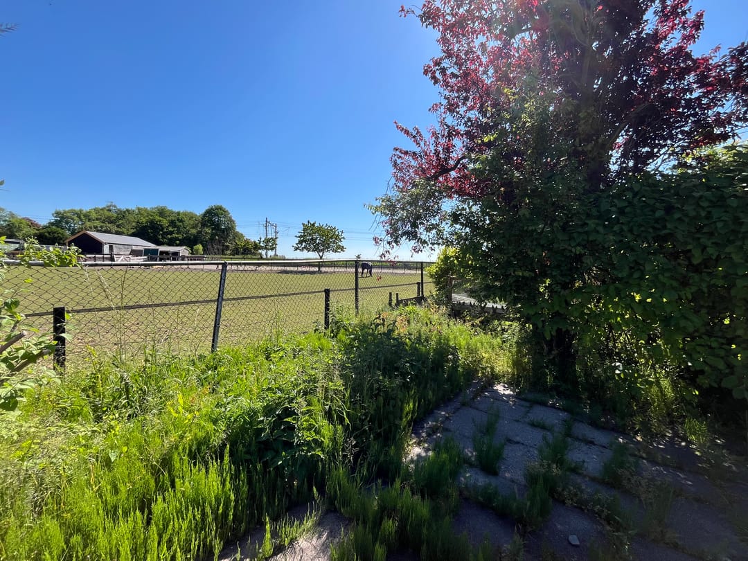 Foto 16 van Warderweg 6