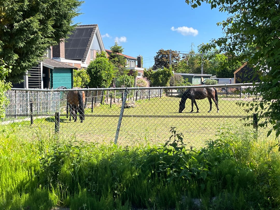 Foto 17 van Warderweg 6