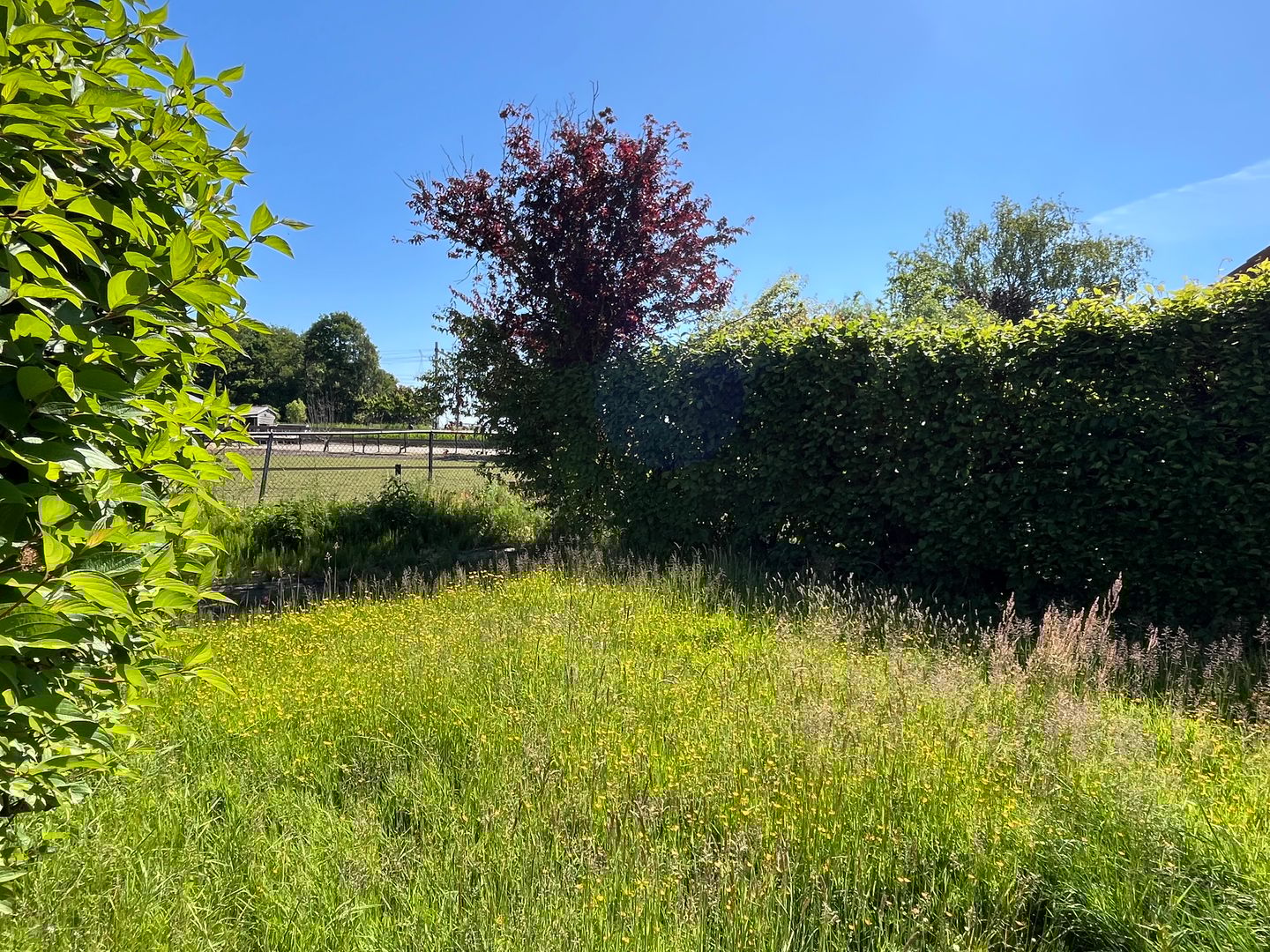 Foto 19 van Warderweg 6