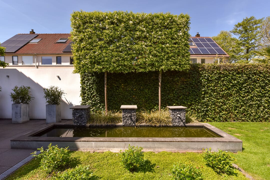 Foto 38 van Topaas 29