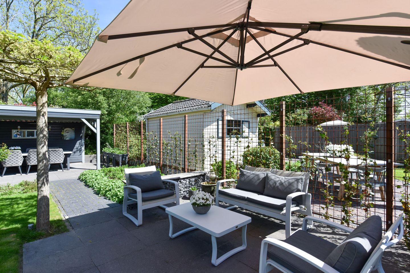 Foto 40 van Topaas 29