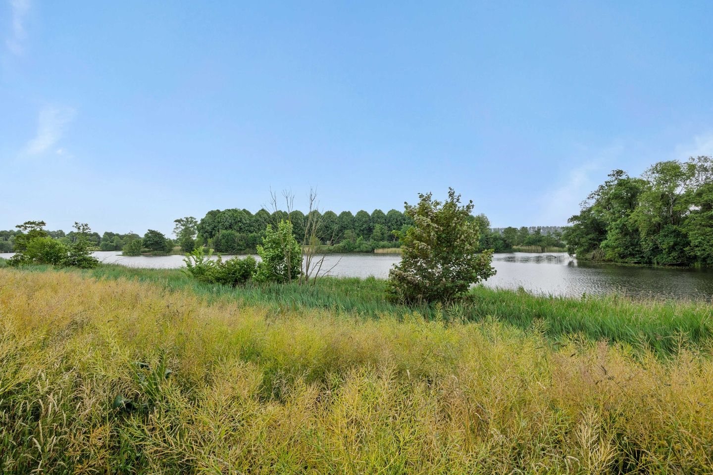 Foto 5 van Socrateslaan 1