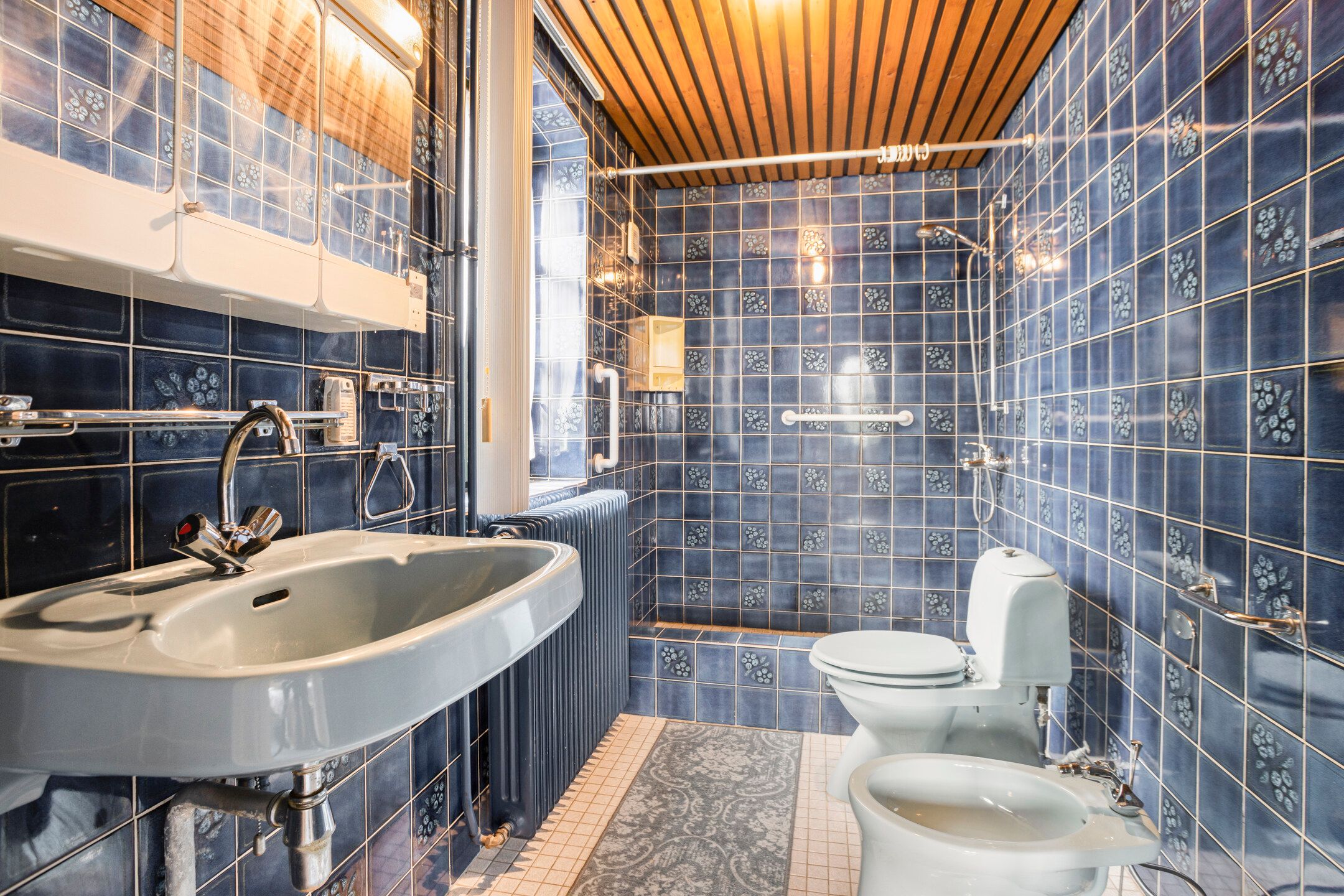 Foto 36 van Dr.Biermansstraat 24