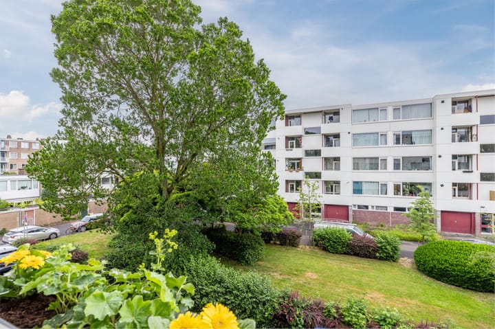 Foto 31 van Van Eysingalaan 175