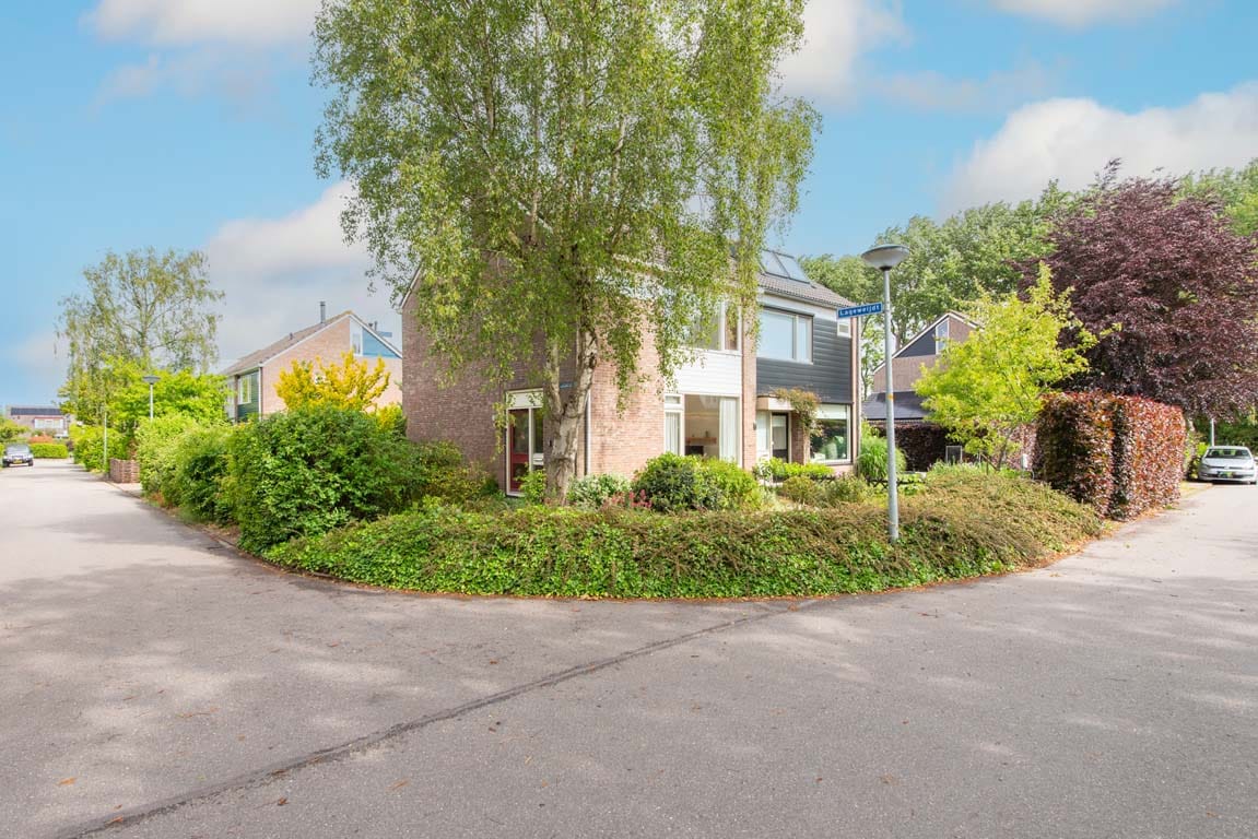 Foto 4 van Lageweijdt 2