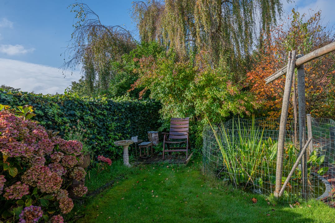 Foto 56 van Noorderstraat 346