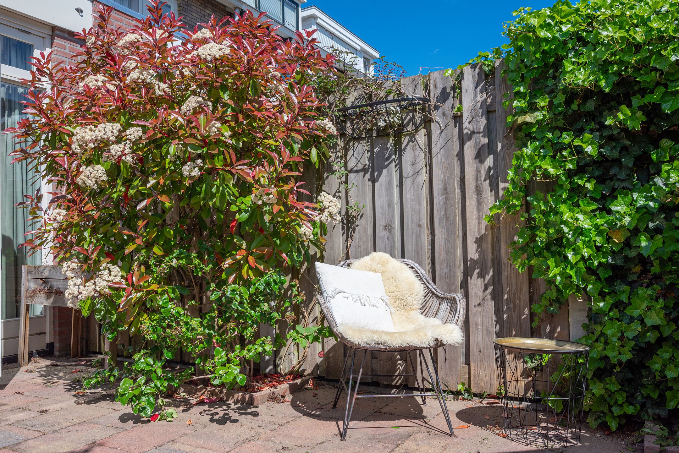 Foto 18 van Trompstraat 80