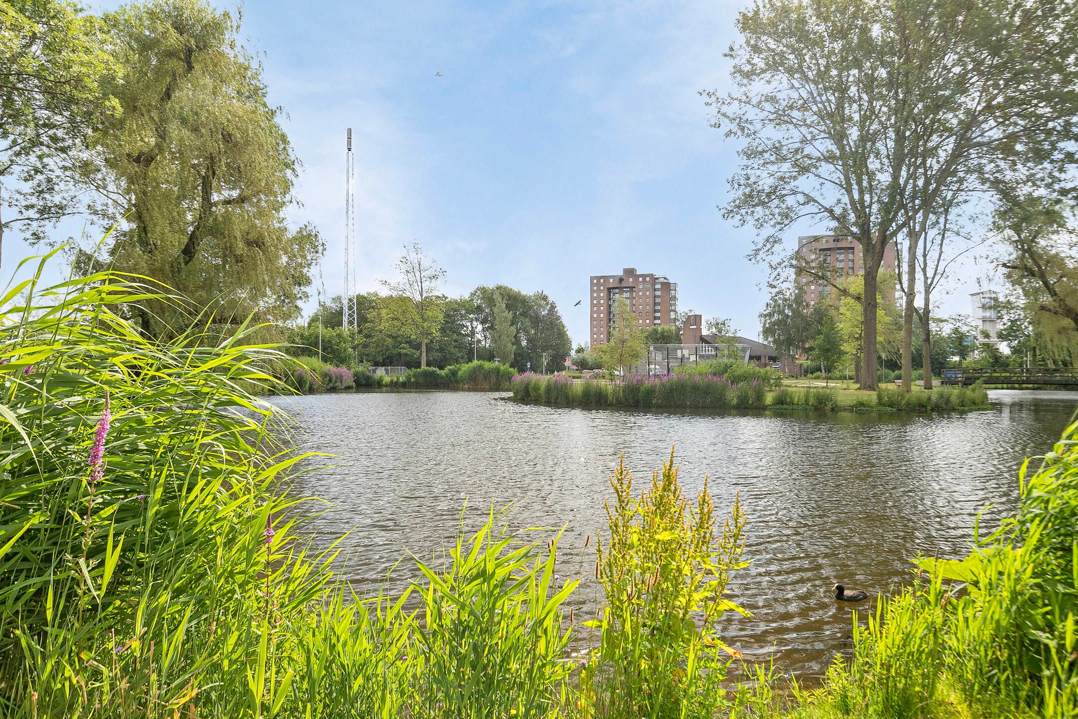 Foto 3 van Valeriusrondeel 310