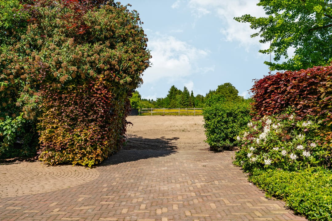 Photo 53 of Oud Zevenaarsedijk 1