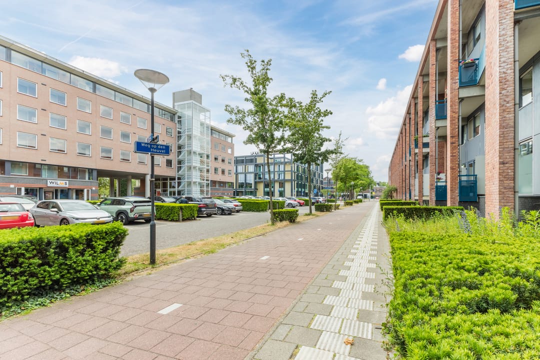 Foto 23 van de Callenburgh 22