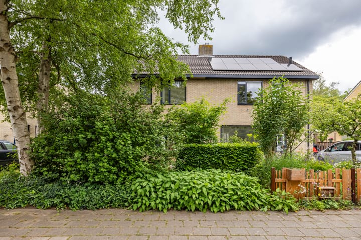 Foto 70 van Landsteinerweg 23