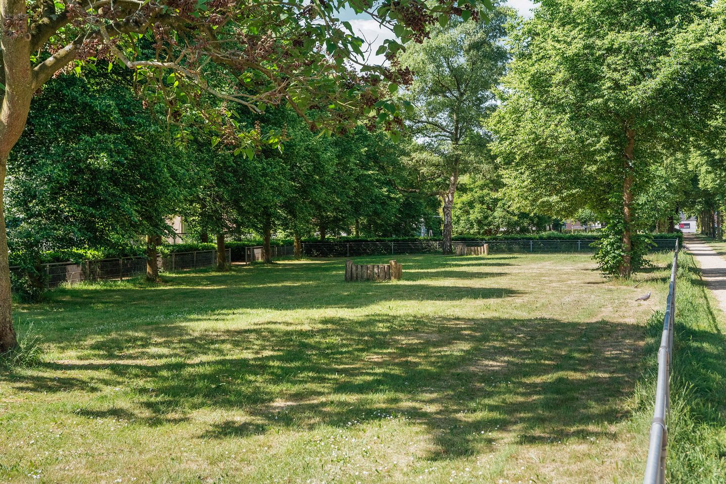 Photo 49 of Mr. van Houtenstraat 5