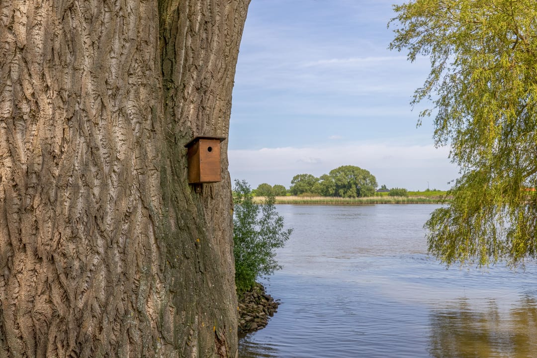 Foto 58 van Gelkenes 47-B