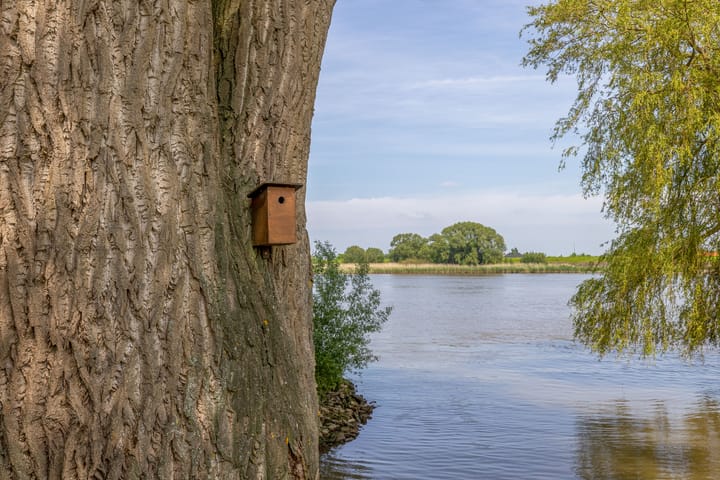 Foto 58 van Gelkenes 47-B