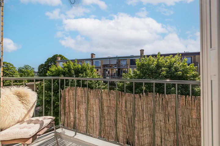 Foto 16 van Tolsteegplantsoen 20-2