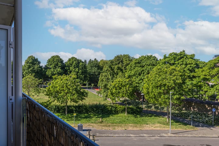 Foto 17 van Tolsteegplantsoen 20-2