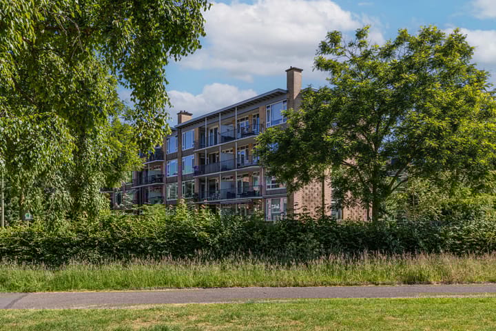 Foto 29 van Tolsteegplantsoen 20-2