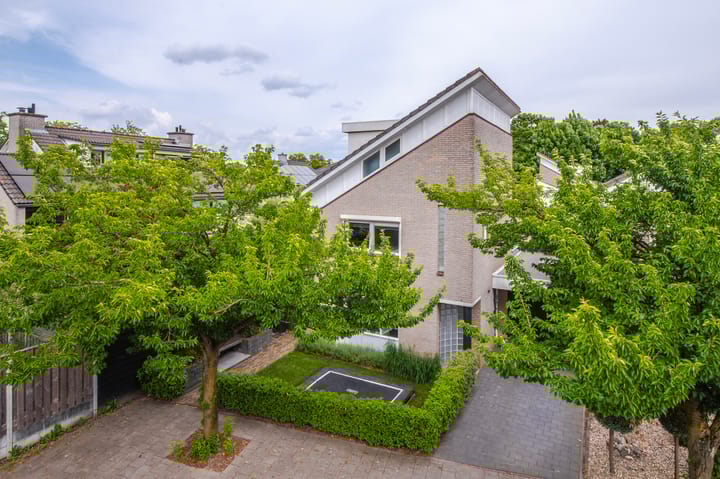 Foto 43 van Suze Groeneweglaan 1