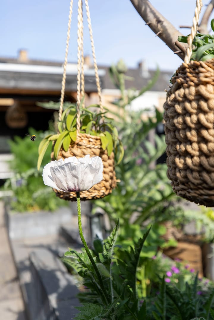 Foto 65 van Boutensstraat 15