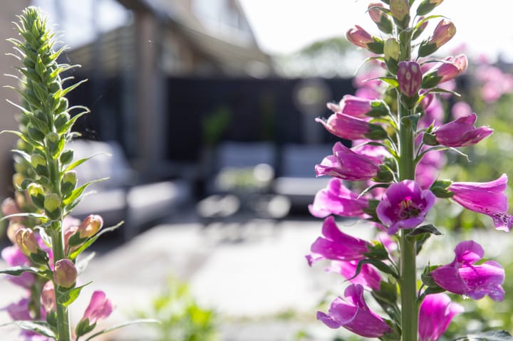 Foto 69 van Boutensstraat 15