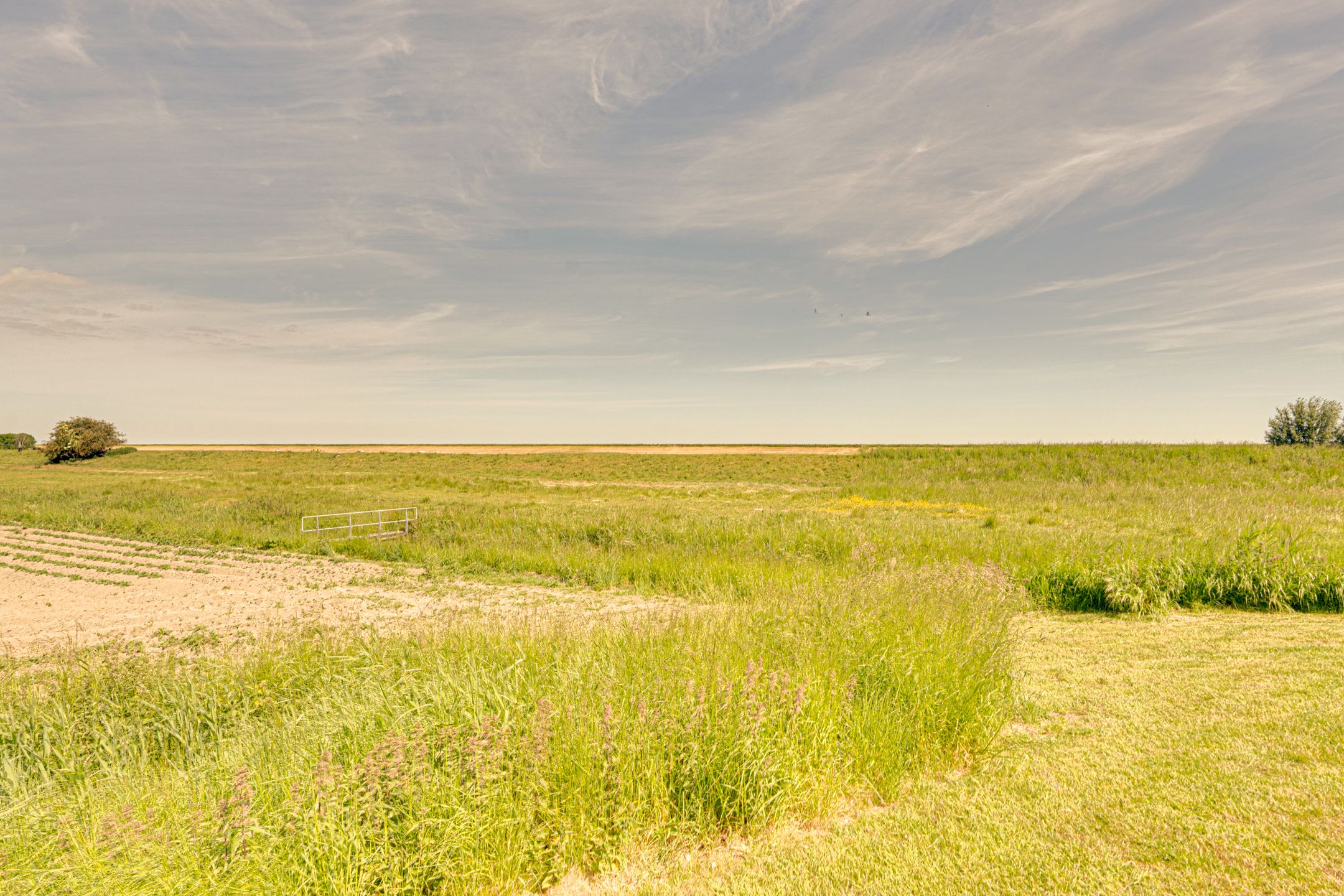 Foto 48 van Ruisweg 53